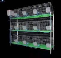 Lorenzo OEM Gaiola Kooi L92xw56xh66 Stainless Steel Cages ...