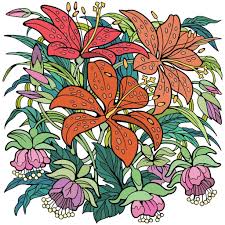 Sur 32 dessins de fleurs tropicales à découvrir. Epingle Par Deneb Sur Happy Color Dessin