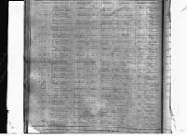 Rebecca Folger (Crapo) Durant (1833-1924)