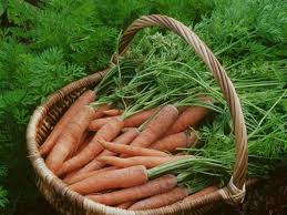 Comment Preparer Des Conserves De Carottes Recette Carottes En Conserve Carotte Conserve