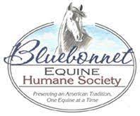 Bluebonnet Equine Humane Society Humane Society Horse Rescue Horse Adoption