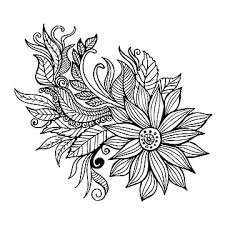 Bunga putih, bunga chamomile romawi, camomile, fotografi, bunga matahari, minyak png. Tosrgdpbww4urm