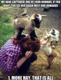 Evil Goat Hostage Situation Www Meme Lol Com Baby Goats Funny Animal Pictures Animal Captions