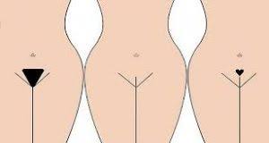 How often should i shave my pubic hair? How To Properly Shave Your Pubic Area Female Kobo Guide