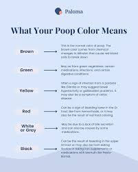 Image result for dark black stool human poop