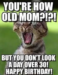 101 Funny Cat Birthday Memes You Re How Old Mom But You Don T Look A Day Over 30 Happy Birthda Happy Birthday Mom Meme Cat Birthday Memes Birthday Meme
