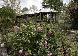 Blumen meister's new braunfels florist. Pavillion Rose Garden New Braunfels Conservation Society