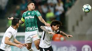 Resultado de imagem para palmeiras