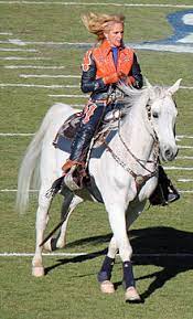 Brisbane broncos mascot brisbane broncos, broncos, mascot. Thunder Mascot Wikipedia