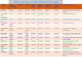 72 specific phylum comparison chart