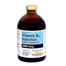 Giving the canine the injection corrects the disorder associated with the deficiency of vitamin b12. Vitamin B 12 Injection Kvsupply Com
