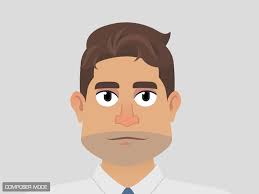 Cartoon Animator 5 Online Manual