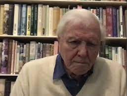 8 мая 1926, лондон) — телеведущий и натуралист. Fear Of Vaccine Stems From An Ignorance Of Medical Facts Says Sir David Attenborough Channel 4 News