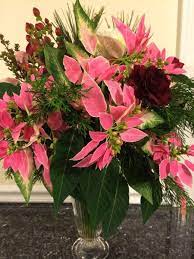 Poinsettia History And Legends Poinsettia Care Flower Show Poinsettia