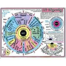 Free Printable Reflexology Charts Bobby Ray Dont