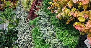 Check spelling or type a new query. Silk Flowers And Plants Los Angeles Showroom Aldik Home