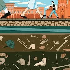 Check spelling or type a new query. How Pandemics Wreak Havoc And Open Minds The New Yorker