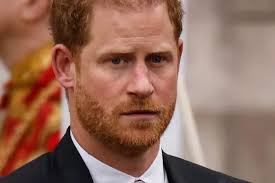 Prince Harry wanted to 'look like a hero' as he dashed to father's side,  claims royal expert