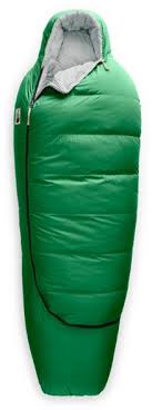 When temps get down that low you simply cannot afford to risk your health with. The North Face Eco Trail Down 0 Sleeping Bag Rei Co Op