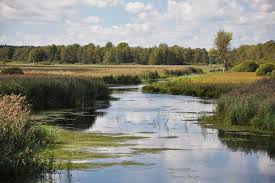 Federsee translates to 'feather lake' and its shape resembles that of a feather. Nabu Schutzgebiet Federnsee Nabu