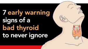 It has two lobes, and sometimes there's a pyramidal lobe as well. 7 Early Warning Signs Of A Bad Thyroid To Never Ignore Thyroid Anti Cancer Thyroid Signs