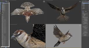 Animated Sparrow Animation Scene Setup Graphics Inspiration