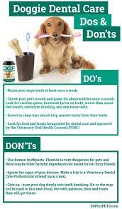 Medications for pain and infection prevention additional. Doggie Dental Do S And Don Ts Infographic Pet Dental Health Month Pet Dental Health Dental Health Month