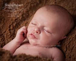 2013 » Sheila Hebert Photography