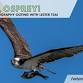 Oh look, Osprey! with Lester Tsai