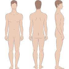 Luckily, there are a few steps you can take to make your body hair removal a lot easier. Male Full Body Laser Hair Removal Laser Hair Removal By Indy Laser