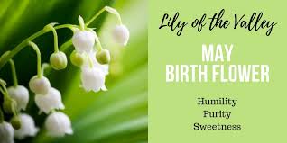Discover Your Birth Flower Interflora Birth Flowers May Birth Flowers Birth Month Flowers