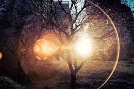 Image result for light tumblr