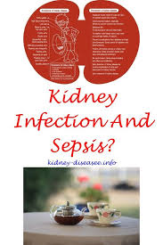 Pin On Kidney Issues