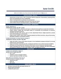 professional profile in resume