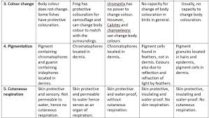Comparative Study Of Integument In Vertebrates 2021