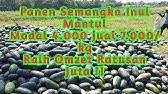 Pabrik sosis asub kohas lembang. Lowongan Kerja Lulusan Sma Smk Di Pabrik Baru Kawasan Industri Comal Baru Jawa Tengah Indonesia Youtube