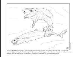 We may earn commission on some of the items you choose to buy. Shark Education On Twitter Sharksunday Dive Into The World Of Deepsea Sharks With Our Viper Dogfish Coloring Sheet Artwork From Our Art Team Member Jcsotonyi Https T Co 0sdgrwkdy1 Diversesharks Https T Co Loynuxso1r Twitter
