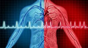 Image result for Atrial Fibrillation