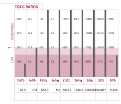 canine htma lab test nutritional balancing org