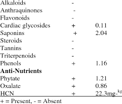 Image result for Alchornea occidentalis