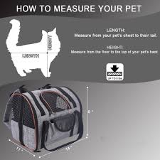 I tried my cat in a plastic carrier. Cat Carrier Bag Multi Functional Pet Backpack Lazy Pets Store