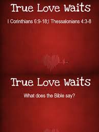 Esse livro baixar musica true love de graça? True Love Waits