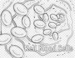 However, blood can appear bluish when seen through the vessel wall and skin.11 pulse oximetry takes advantage of the hemoglobin color change to directly. Red Blood Cell Coloring Book White Blood Cell Plant Angle White Png Pngegg