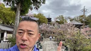 ‘CULTURE’ 20th April , ‘100 cherry blossom spots in Japan, at KONKAIKOMYOJI  temple in Kyoto’, I visited KONKAIKOMYOJI temple in Kyoto., It’s founded  1175 by the founder of JODO Buddha school. , It’s ...