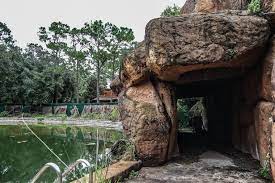 Check spelling or type a new query. Eerie Remains Of Disney S River Country Water Park Left Abandoned For Almost 20 Years Mirror Online