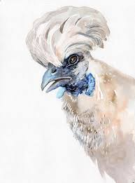 Silkie Chicken Painting Silk Chicken Watercolor Original Etsy In 2020 Silkie Chickens Chicken Painting Chicken Art