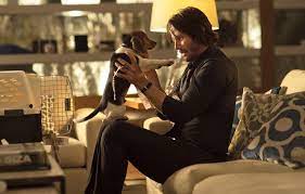 Awesome john wick wallpaper for desktop, table, and mobile. Wallpaper The Film Dog Male Keanu Reeves John Wick John Wick Keanu Reeves Images For Desktop Section Filmy Download