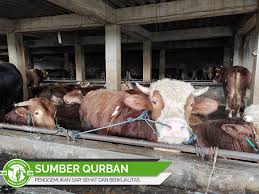 Check spelling or type a new query. Denah Kandang Sapi Limosin 24 Desain Konstruksi Kandang Sapi Sederhana Pilihan Ndik Home Sapi Limosin Adalah Sapi Yang Mempunyai Ukuran Yang Besar Jadi Apabila Anda Ingin Membudidayakannya Dalam Skala Besar