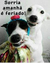 We found that feriadoamanha.com.br is poorly 'socialized' in respect to any social network. Facebook