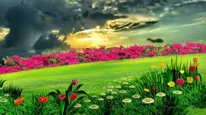 Beautiful Natural Flower Garden Dream Background Video 861 Green Screen Video Backgrounds Beautiful Nature Wallpaper Hd Love Background Images